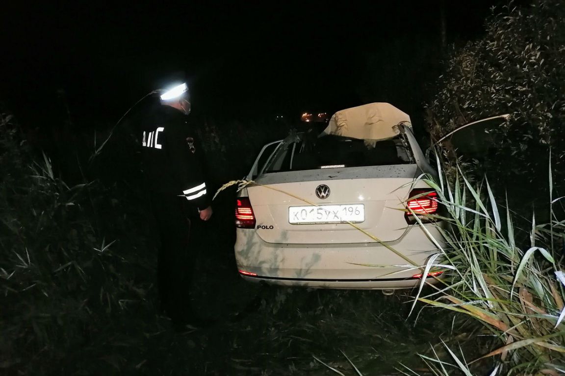 На свердловской трассе автомобилист сбил лося. Погибли оба - «Уральский  рабочий»